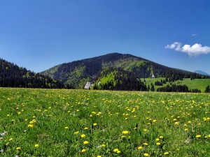 Obrázok